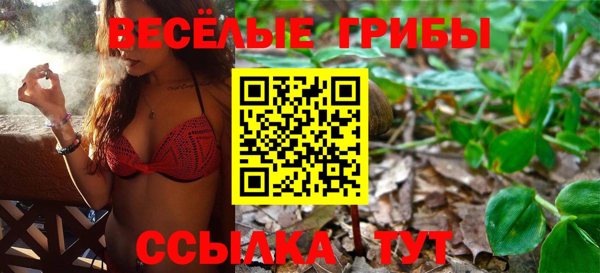 Псилоцибиновые грибы Psilocybine cubensis  Вход с VPN  Псилоцибиновые грибы Psilocybe  Тамбов 